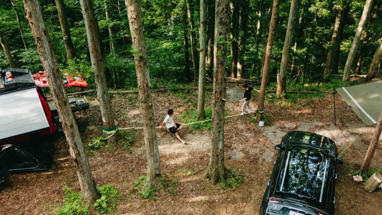 黄色と黒 動画中心 旅行体験 YouTubeサムネイル